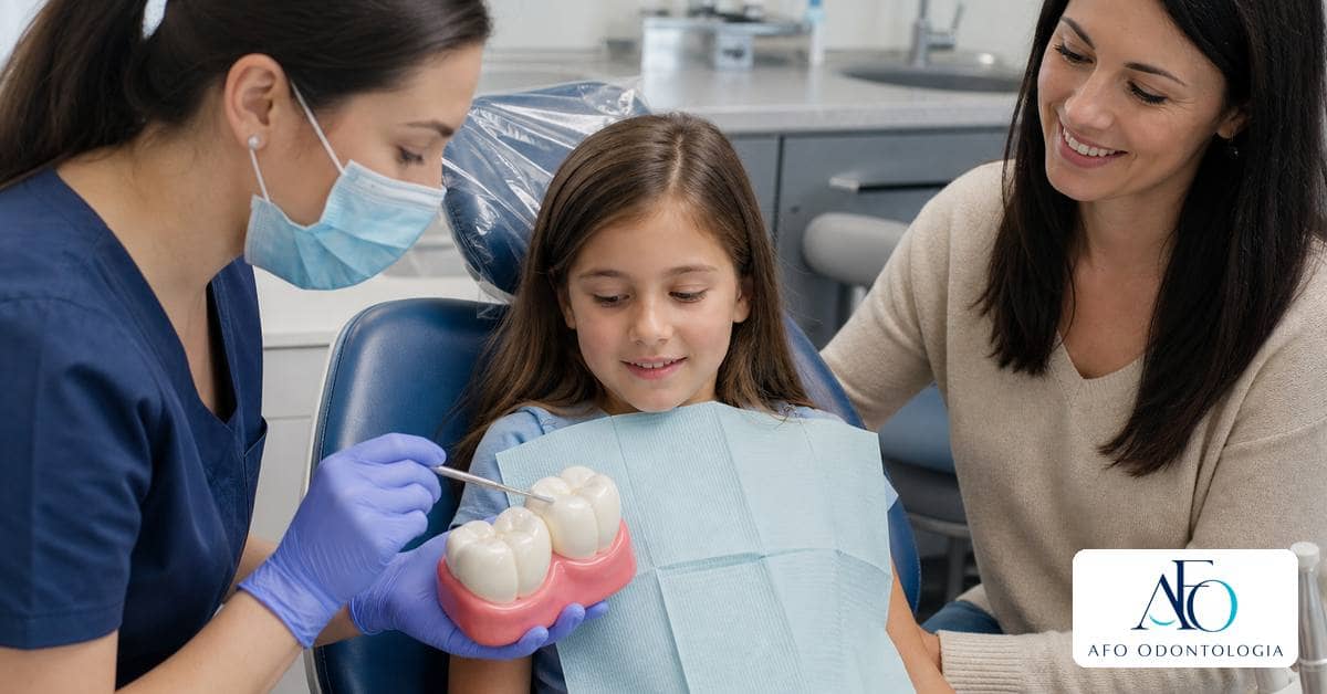 Primeiro molar permanente infantil em modelo odontológico